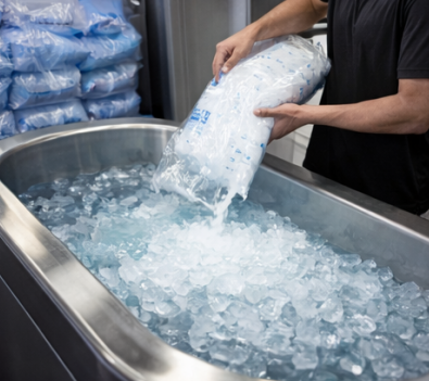 staff adding bags of ice into a commercial ice bath tub